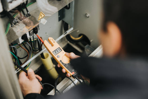 Best Generator Installation Services  in Crainvle, IL
