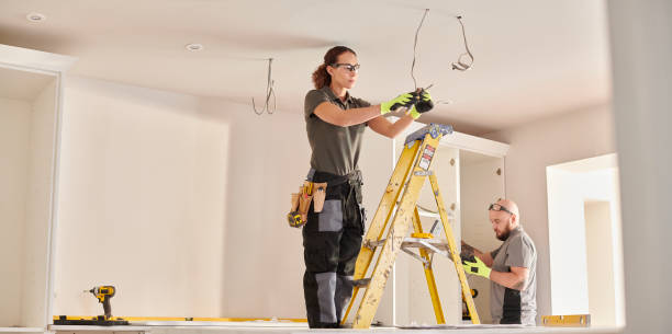 Best Commercial Electrician Services  in Crainvle, IL