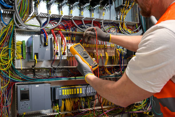 Best Electric Panel Repair  in Crainvle, IL