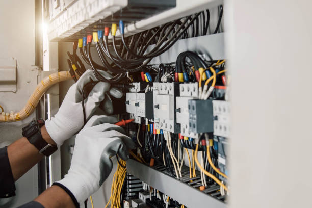 Best Electric Panel Repair  in Crainvle, IL